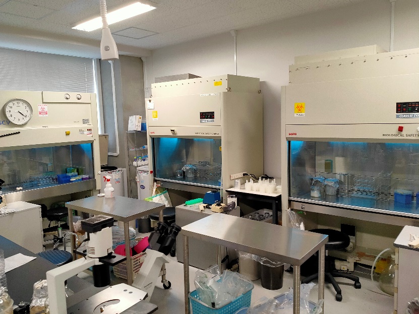 P2実験室（607号室）の内部