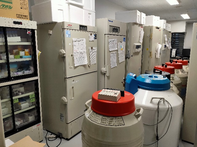 P1実験室（608号室）の内部