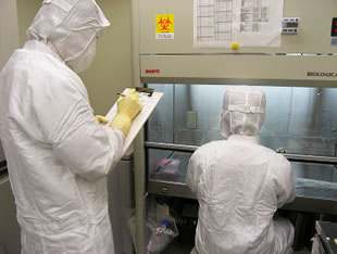 標準作業手順書（SOP；Standard Operation Process）を確認しながらの作業