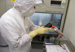 治療用に加工している細胞を確実に識別管理