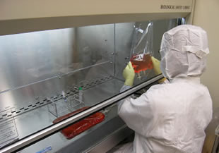 治療用に加工している細胞を確実に識別管理