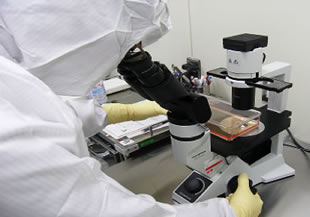 使用する機器・機材