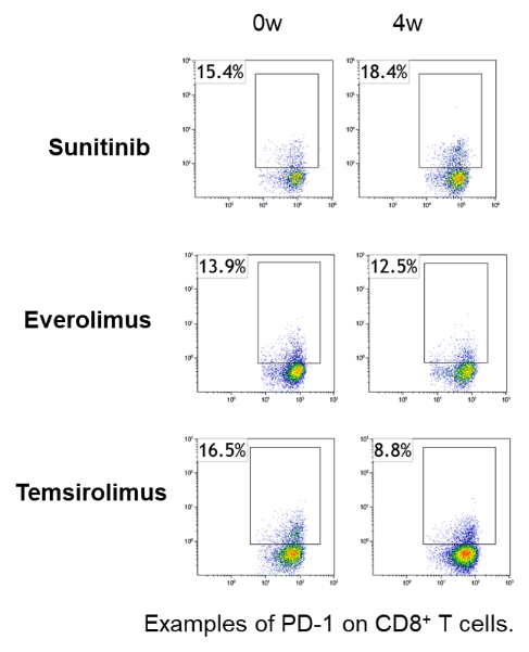 分子標的薬治療を受ける腎がん患者の免疫機能評価