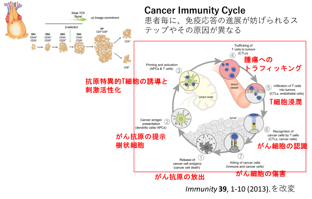 Cancer Immmunity Cycle 患者毎に、免疫応答の進展が妨げられるステップやその原因が異なる