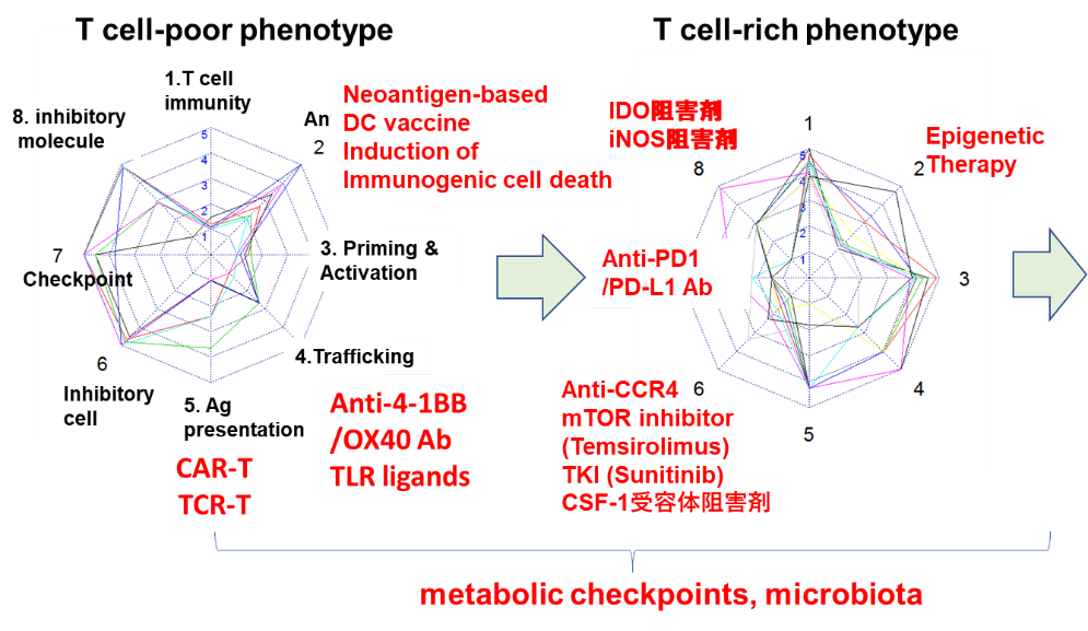 T cell-poor phenotype/T cell-rich phenotype