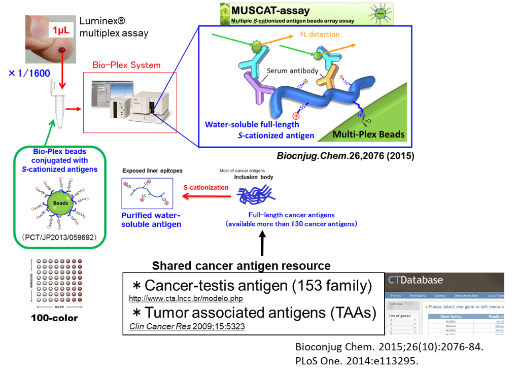 マルチプレックス抗体アッセイ