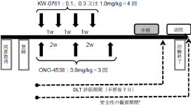 抗CCR4抗体と抗PD-1抗体の併用治療（医師主導治験）