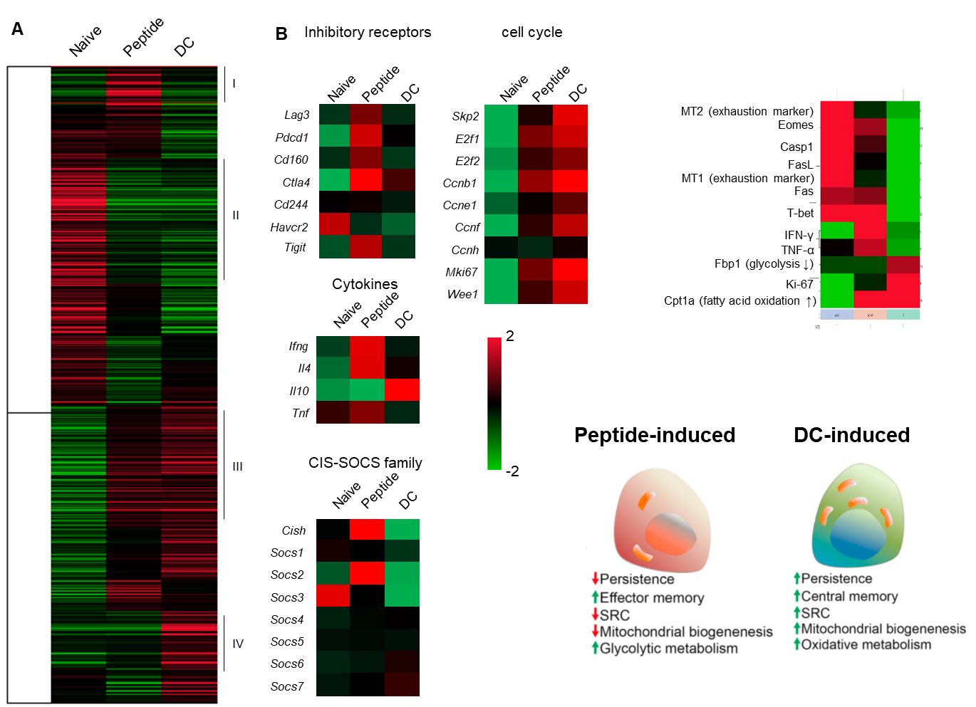 分子レベルでの違いを評価
