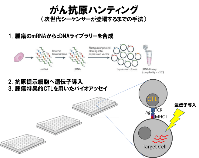 がん抗原ハンティング（次世代シーケンサーが登場するまでの手法）